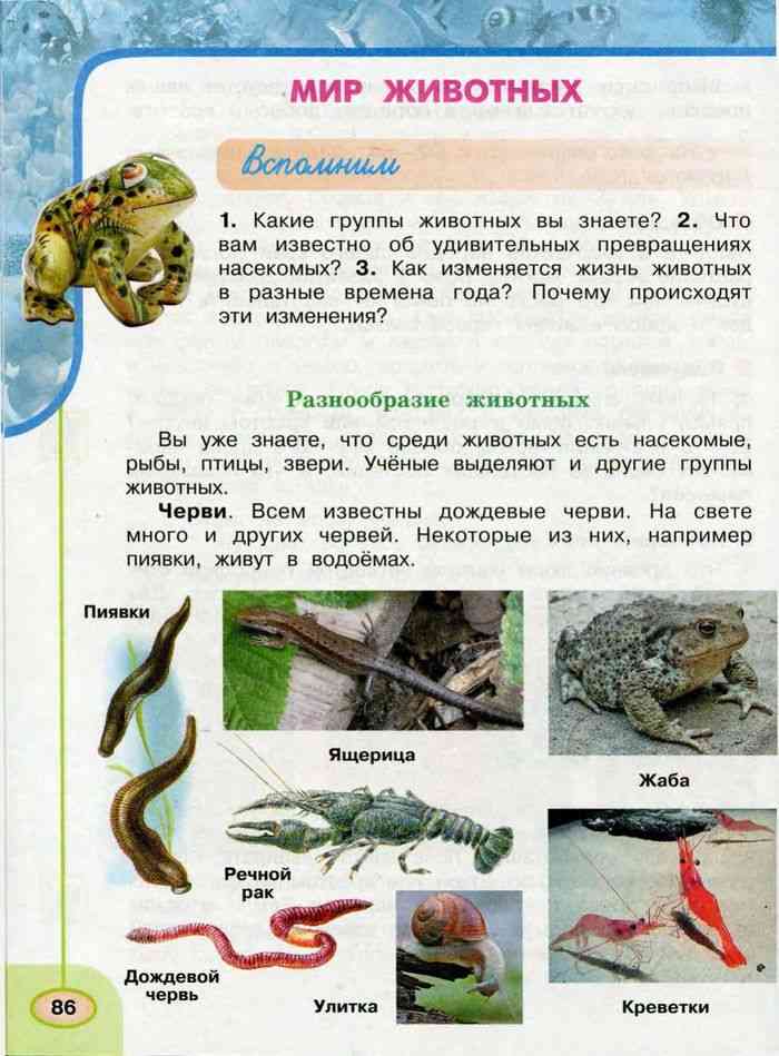 Учебник Окружающий мир 3 класс Плешаков Новицкая часть 1 читать онлайн